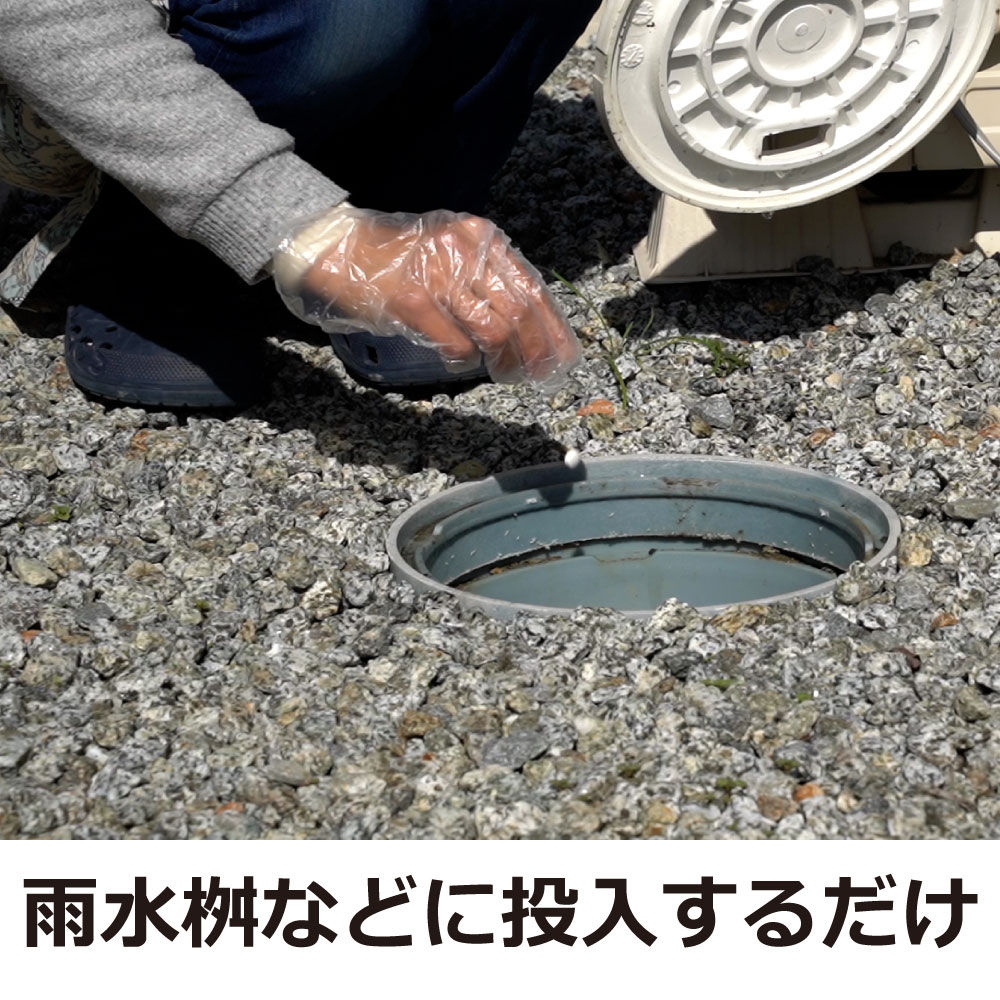 �Բ������� ���ߥ��ȯˢ�� ��SES�� 2g����25�� ���祦�Х� �楹�ꥫ���������� �ڤ椦�ѥ��å��б���