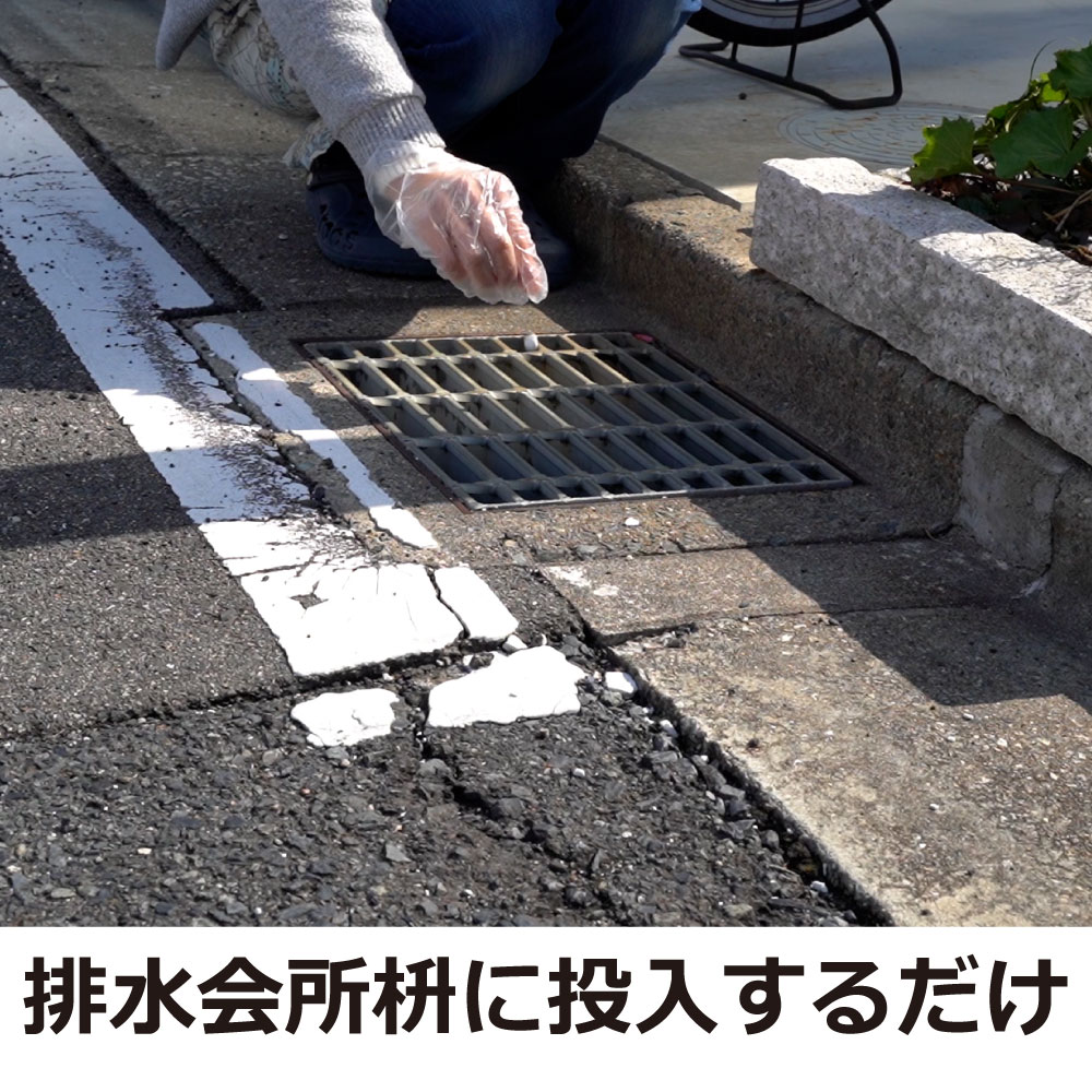 �Բ������� ���ߥ��ȯˢ�� ��SES�� 2g����25�� ���祦�Х� �楹�ꥫ���������� �ڤ椦�ѥ��å��б���