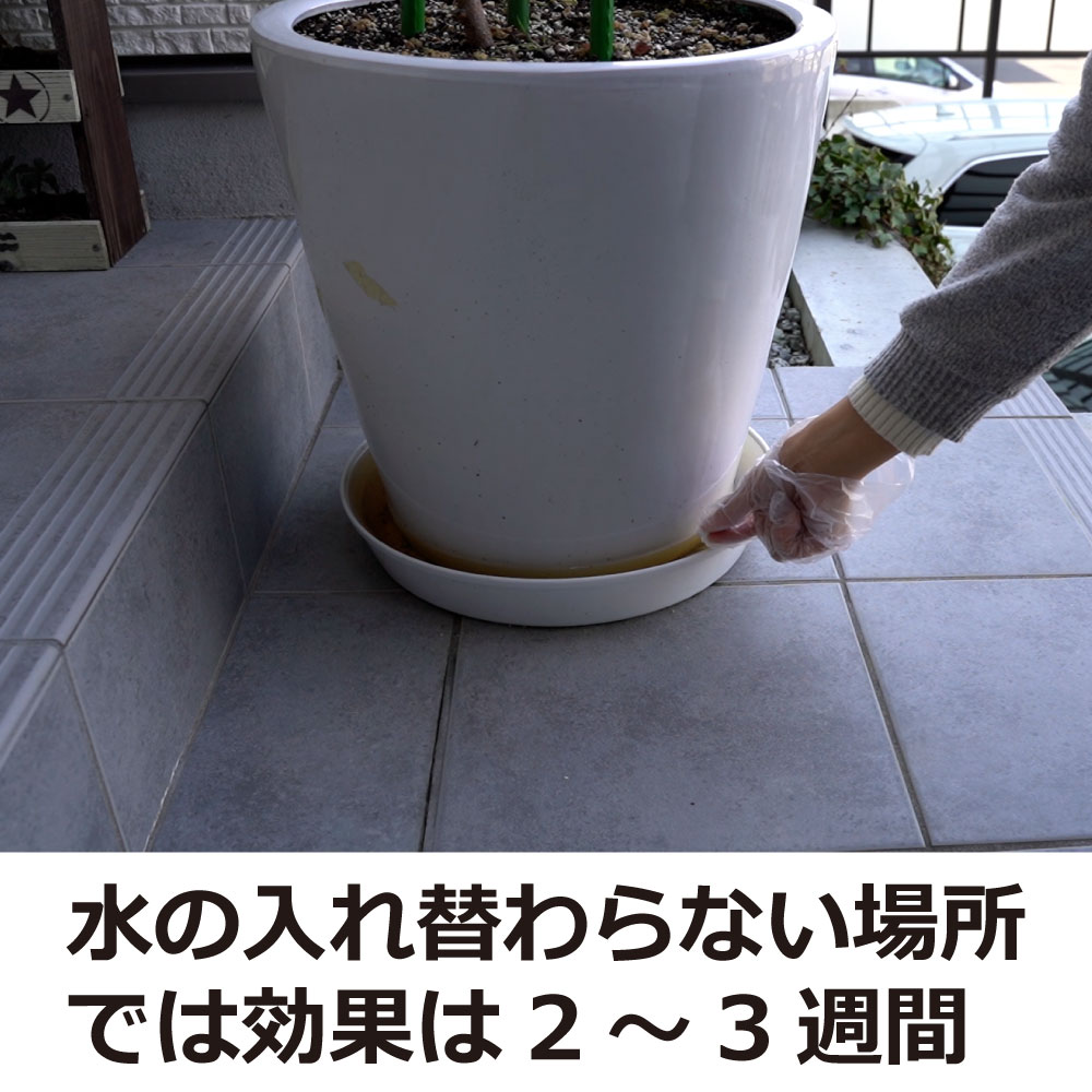 �Բ������� ���ߥ��ȯˢ�� ��SES�� 2g����25�� ���祦�Х� �楹�ꥫ���������� �ڤ椦�ѥ��å��б���