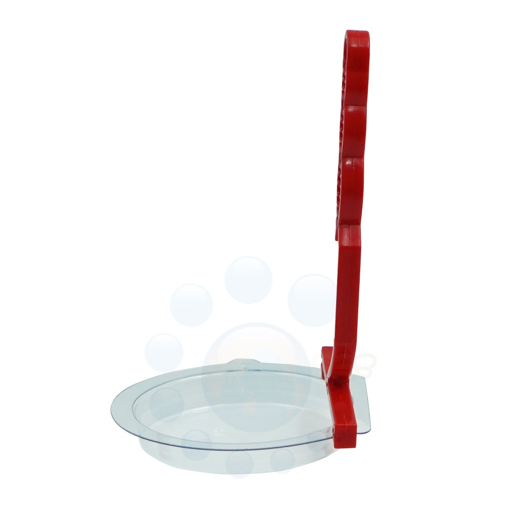 ���饹 �� �к� ���饹����� Ļ������ �С��ɥե꡼ 250g �������󥰥���ץ쥼����� [�ϥȤ褱]