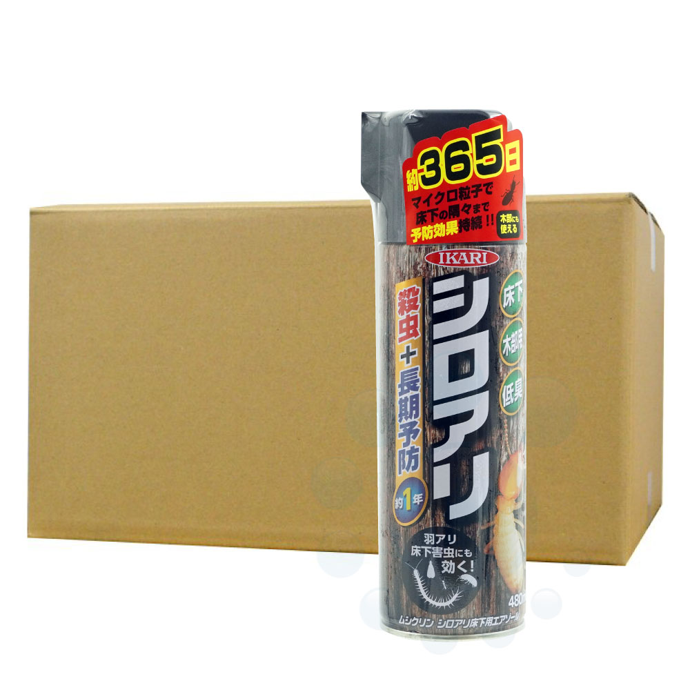 ॷ 꾲ѥ 480ml24 ץ졼