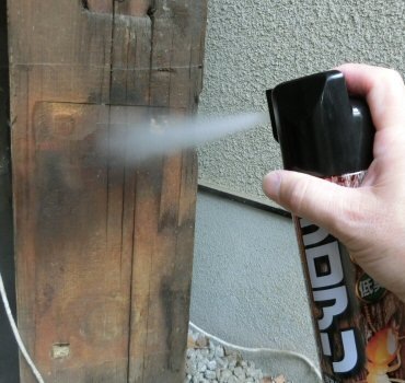 ॷ 꾲ѥ 480ml24 ץ졼