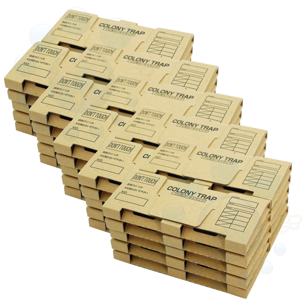 ֥Ĵ ȥå ˡȥå 105 ֥©Ĵ