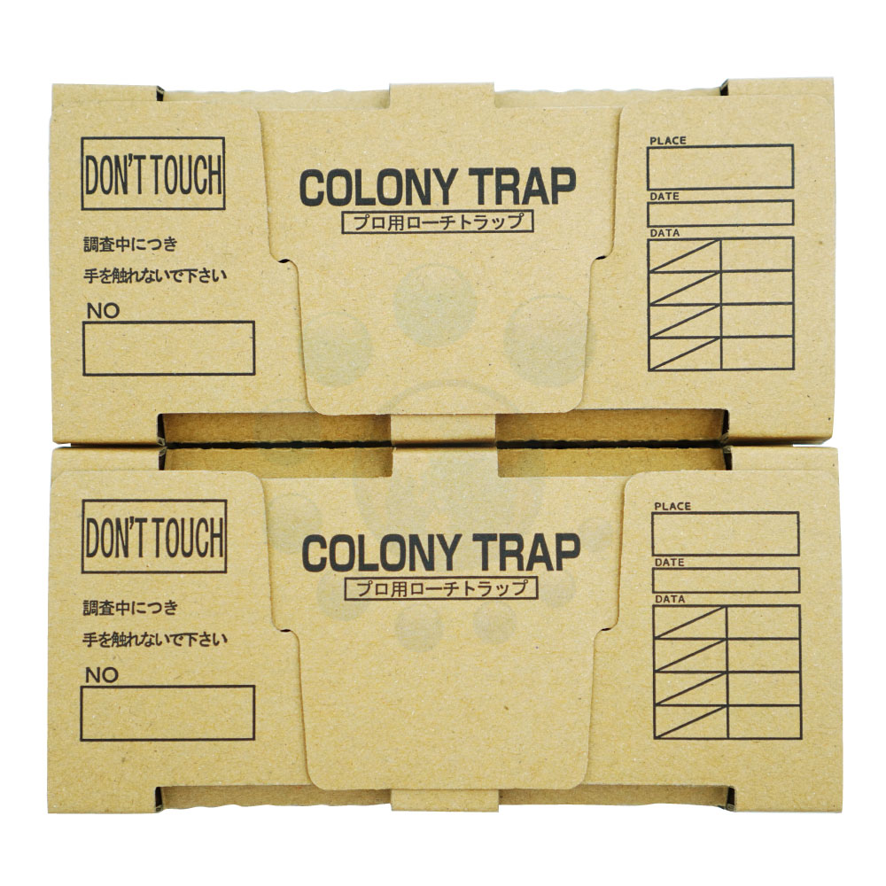 ֥Ĵ ȥå ˡȥå 105 ֥©Ĵ