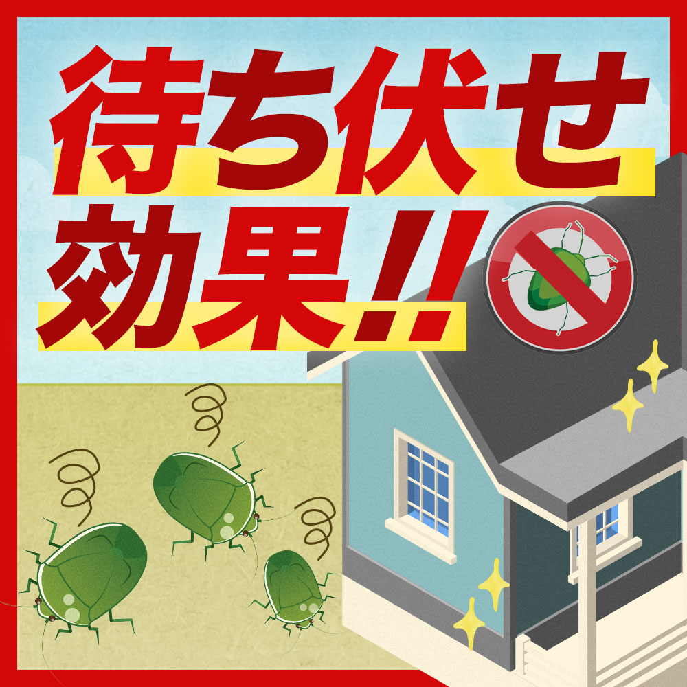 ����ॷ�к� ��̳�ѥॷ���å� ����ॷ���� 4L �� ʮ̸�糧�å�