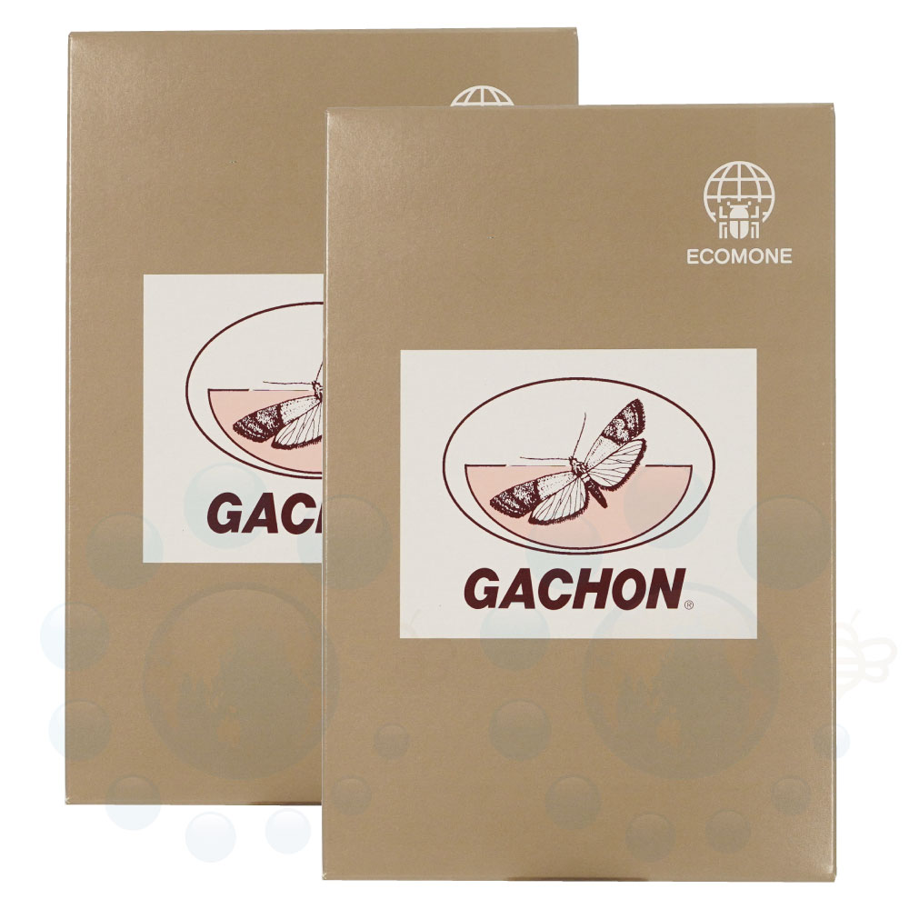 եȥå  Υޥᥤ 10å2Ȣ ˥ѥեȥå   Ф 