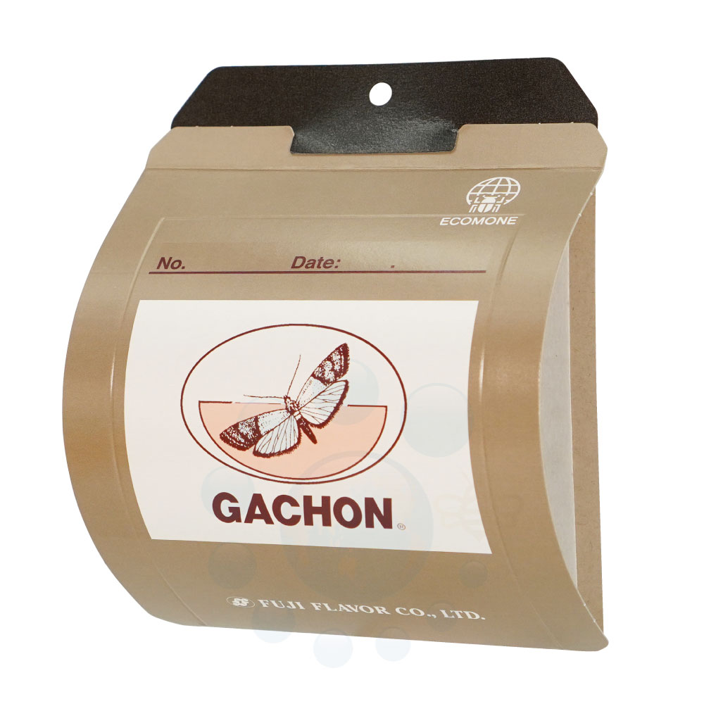 եȥå  Υޥᥤ 10å2Ȣ ˥ѥեȥå   Ф 