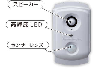 楿ᥤ ǭ ǥХꥢݥåȡ3 Ķ ż ǭ褱