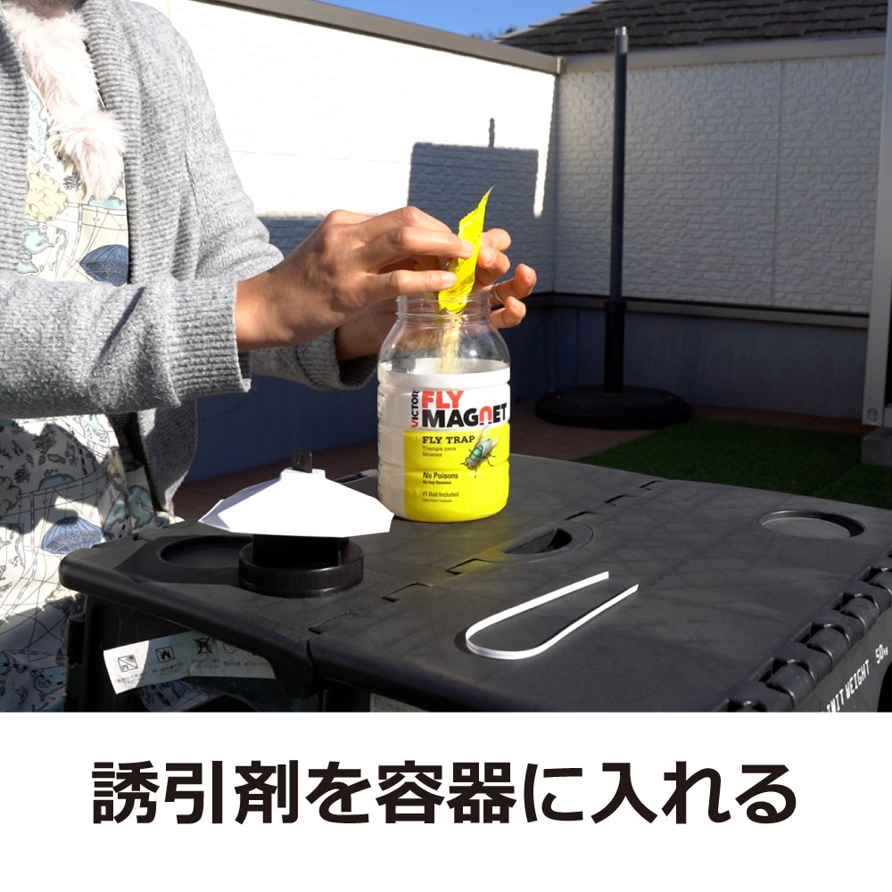 �ϥ� �����Х� ����Х� ����Х�Ͷ����ʹ� �ե饤�ޥ��ͥå� Ͷ����1���դ� ��12���å�