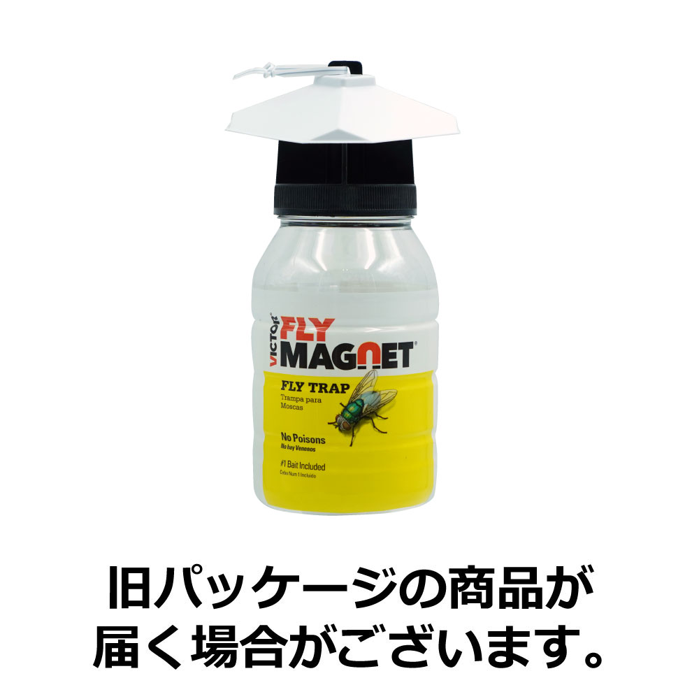 �ϥ� �����Х� ����Х� ����Х�Ͷ����ʹ� �ե饤�ޥ��ͥå� Ͷ����1���դ� ��12���å�