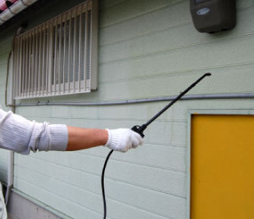 ֥ 顼5FL SES2kg ʮ̸1L󥯥å ɽѰʡ  Х֥ͥ Υ  ༣̵