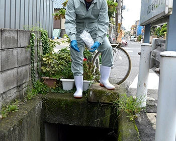 �楹�ꥫ ���祦�Х��к� �����BT�� 100���10�� �楹�ꥫ ���祦�Х��к���