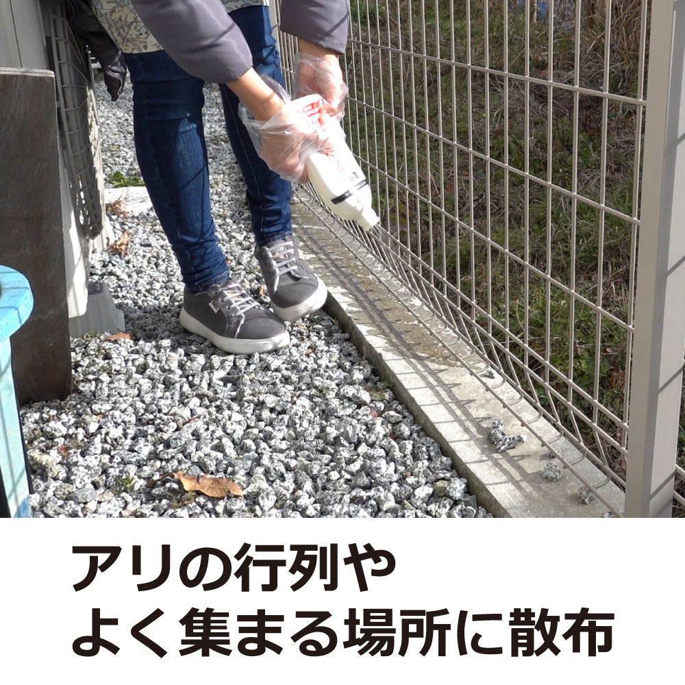 ������ ����ζ�� ��������� ��̳�� �����༣���������� 500ml��10�� �ҥ��� ���를����󥢥�