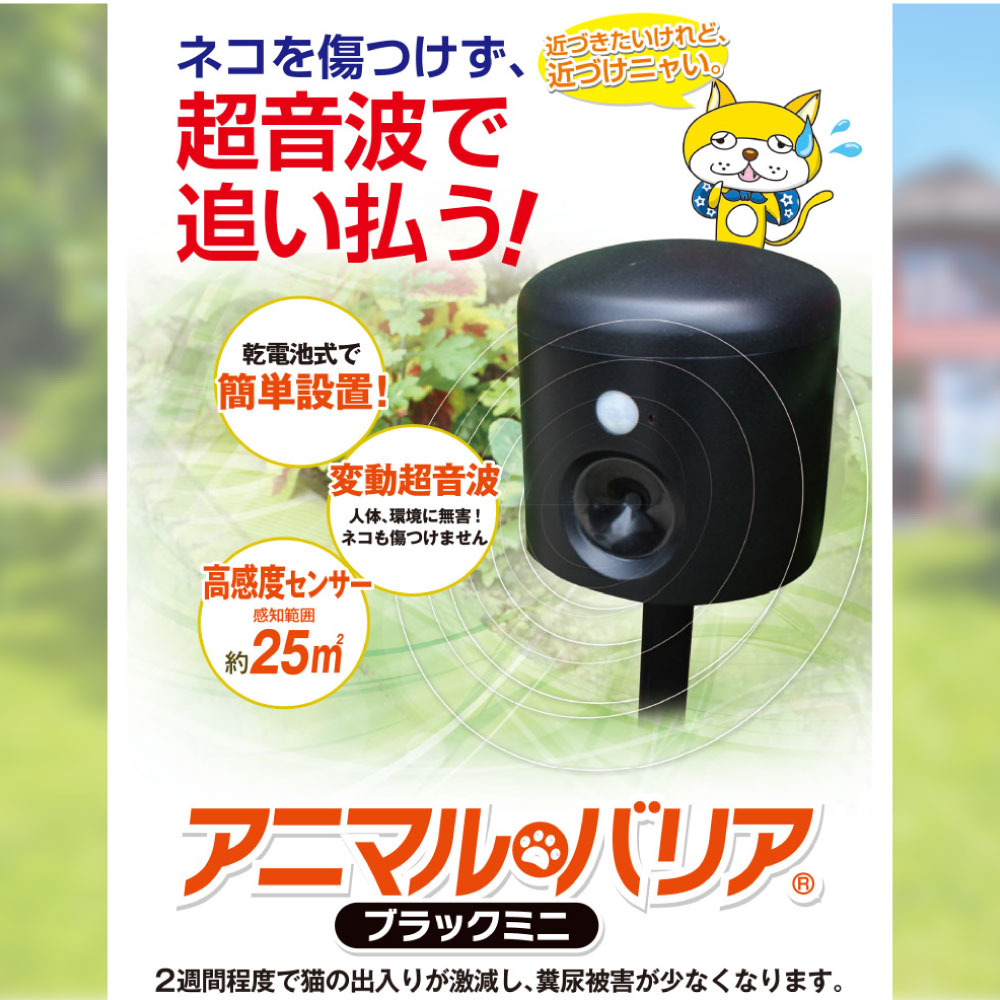 ���˥ޥ�Хꥢ �֥�å��ߥˡ�3�� Ķ���� ����ǭ ƨ���� ǭ�к� �໶