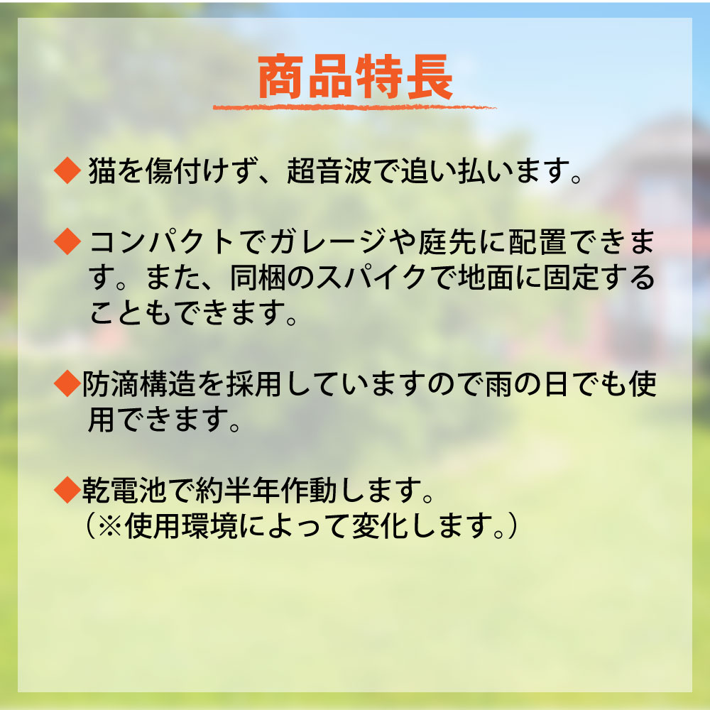 ���˥ޥ�Хꥢ �֥�å��ߥˡ�3�� Ķ���� ����ǭ ƨ���� ǭ�к� �໶