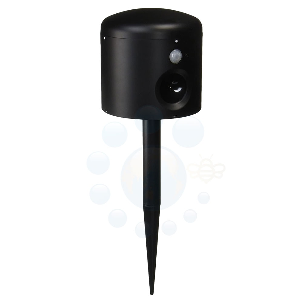 ���˥ޥ�Хꥢ �֥�å��ߥˡ�3�� Ķ���� ����ǭ ƨ���� ǭ�к� �໶