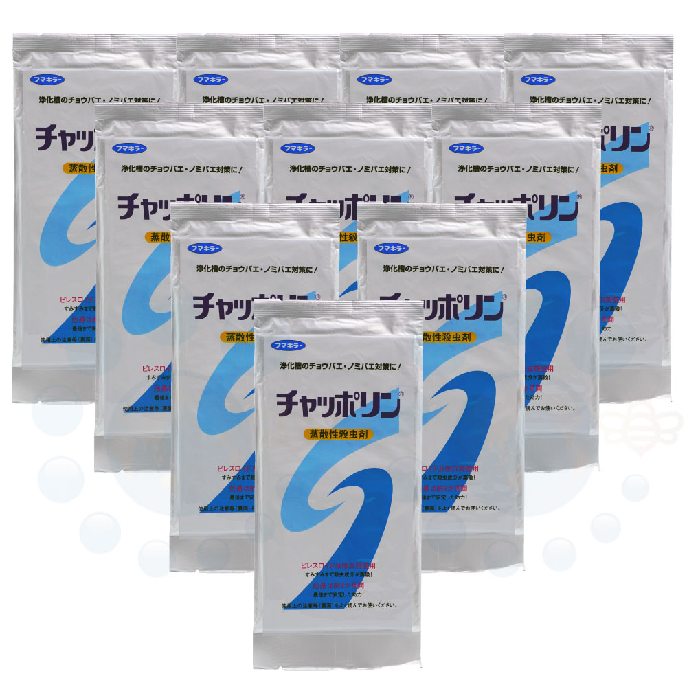 ڤ10祻åȡۻץ졼 åݥ 󥰥10  Х