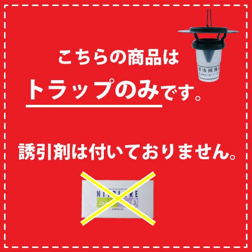 ꥫҥȥ к ᥷ ˥ȥ륢Ρڥ⥹ȥåסۢȥåפΤͶޤդƤޤ