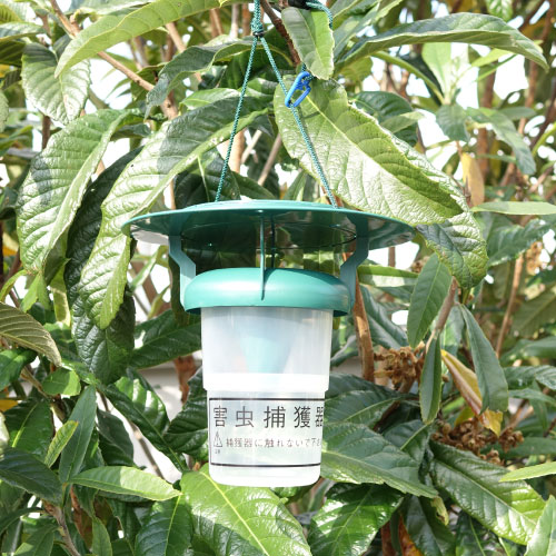 ꥫҥȥ к ᥷ ˥ȥ륢Ρڥ⥹ȥåסۢȥåפΤͶޤդƤޤ