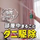 KINCHO ˥२ 60ץå 30ml ɽѰʡۥ˶ ˥ץå ʮ