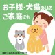KINCHO ˥२ 60ץå 30ml ɽѰʡۥ˶ ˥ץå ʮ
