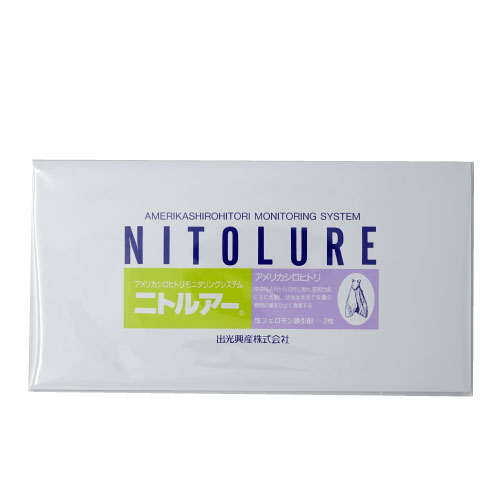 ���᥷�� �˥ȥ륢��Ͷ����2��ڥ���ꥫ�����ҥȥ��ѡ� ����ꥫ�����ҥȥ�