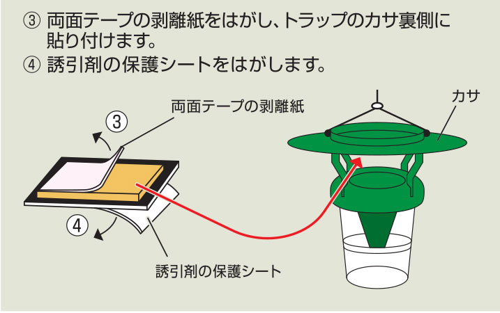 ���᥷�� �˥ȥ륢��Ͷ����2��ڥ���ꥫ�����ҥȥ��ѡ� ����ꥫ�����ҥȥ�