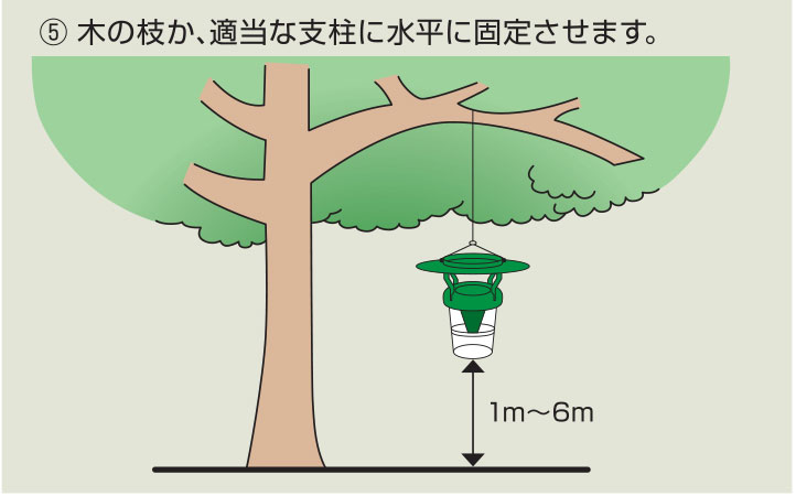 ���᥷�� �˥ȥ륢��Ͷ����2��ڥ���ꥫ�����ҥȥ��ѡ� ����ꥫ�����ҥȥ�