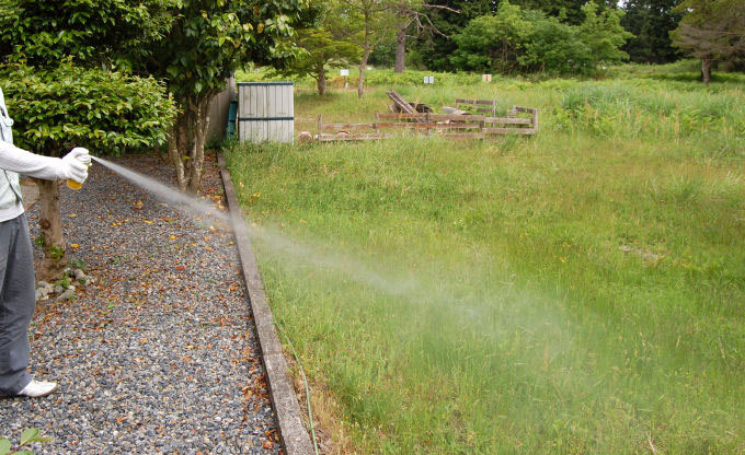 �إӴ���� �إӥ쥹�Ǽإ��ץ졼 300ml �Ǽ����ѻ��غ�