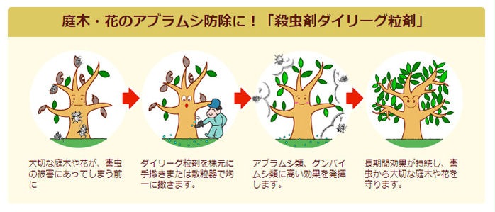 ꡼γ 1.5kg3  ֥ॷ к ॷ  Хॷ  ޥ饫ߥ   տʪ