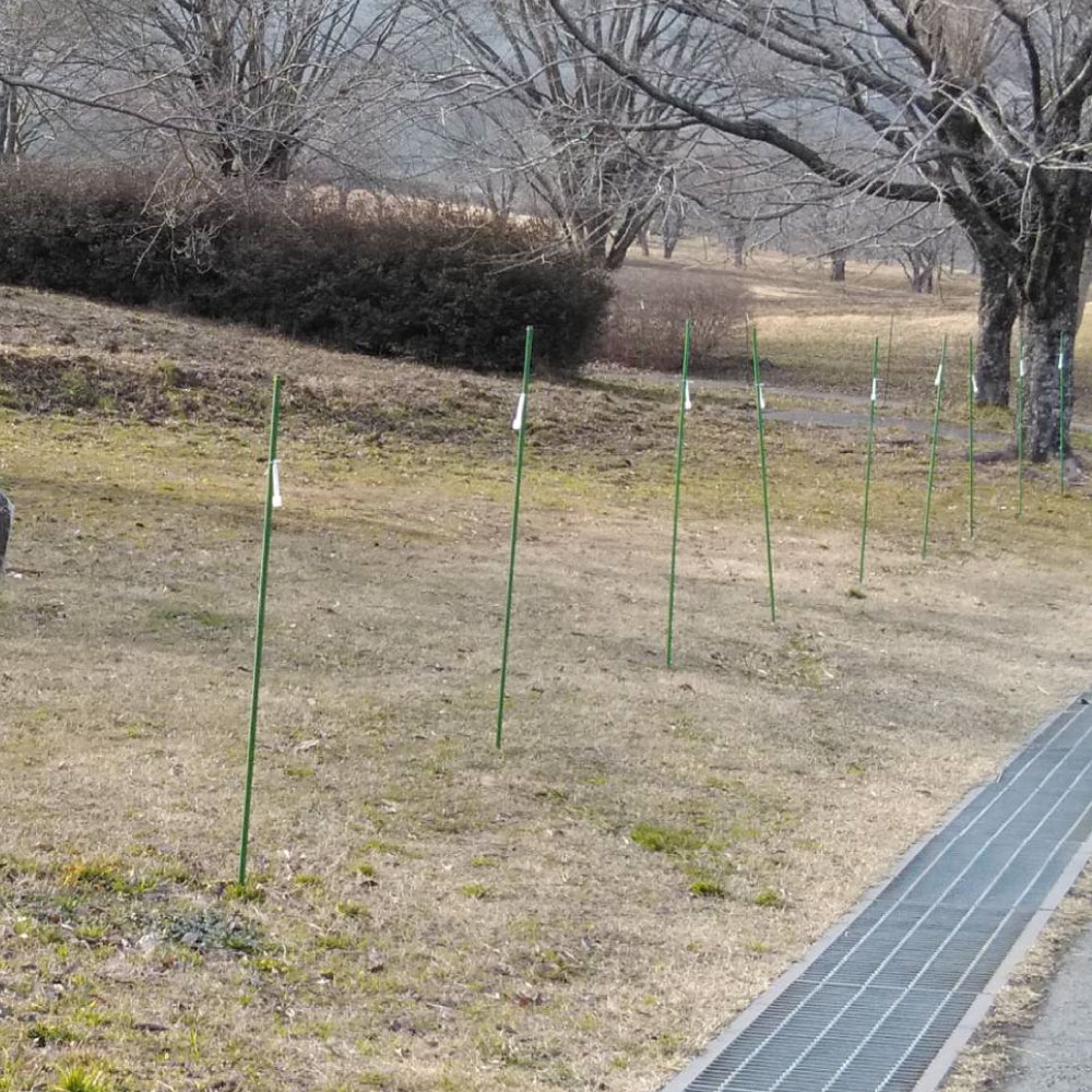 ���Υ����к� ������ 5���� �� ���� ���� ���� �໶ ���� ���� ������ ���Τ��� ��