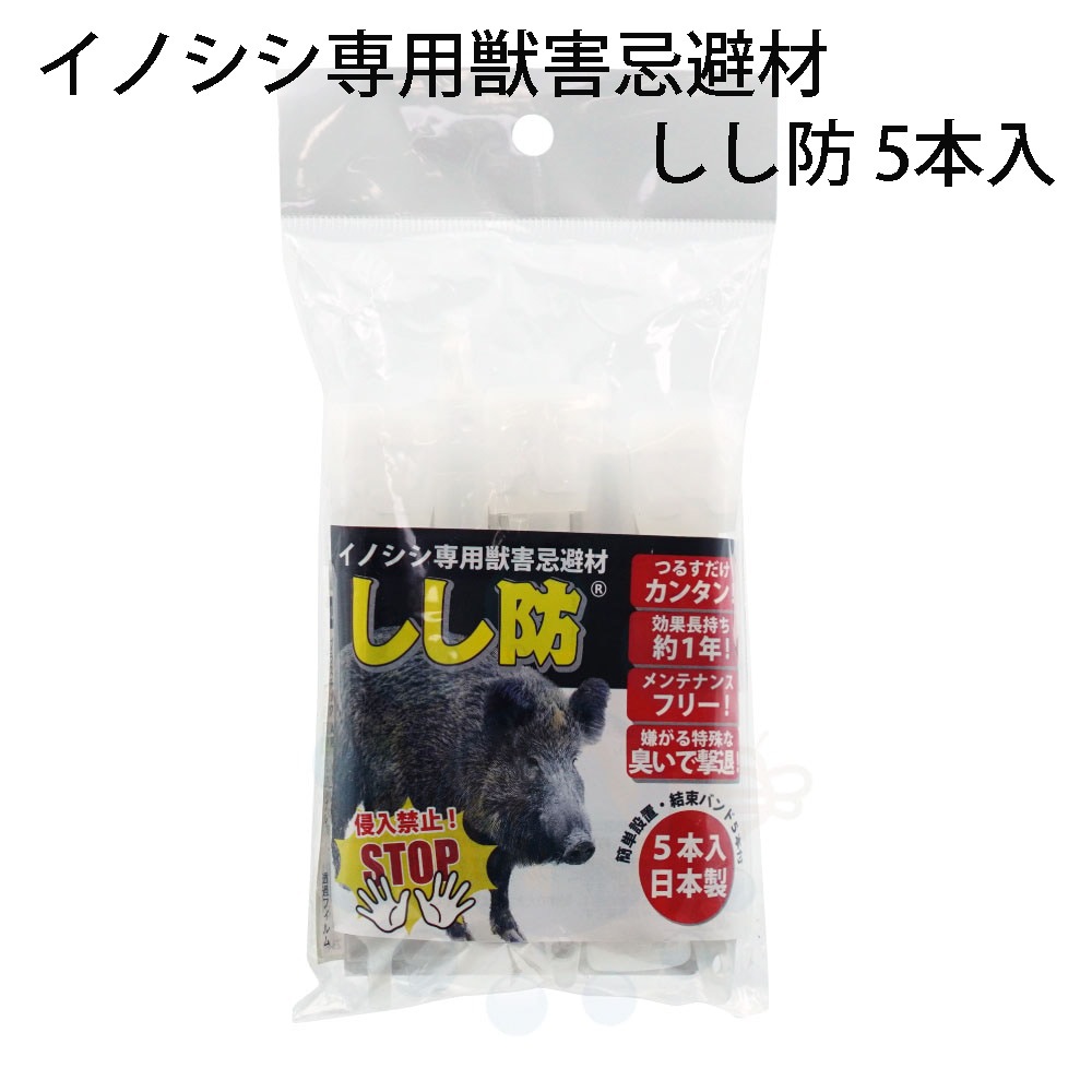 ���Υ����к� ������ 5���� �� ���� ���� ���� �໶ ���� ���� ������ ���Τ��� ��