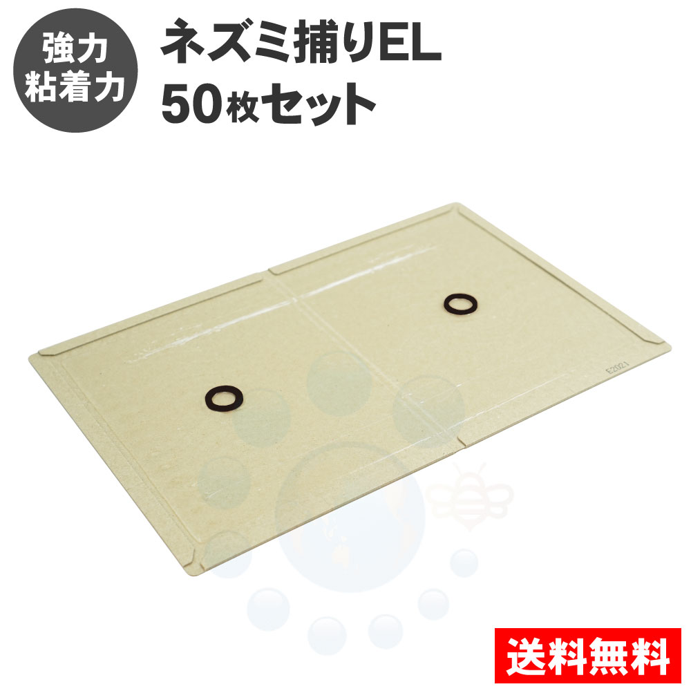 �ͥ���Ǵ���� ��̳�� �ͥ������ EL 50�� ���ϥ����� �ͤ���Ǵ�奷���� �Ͷ�� �Ȥ��� �༣