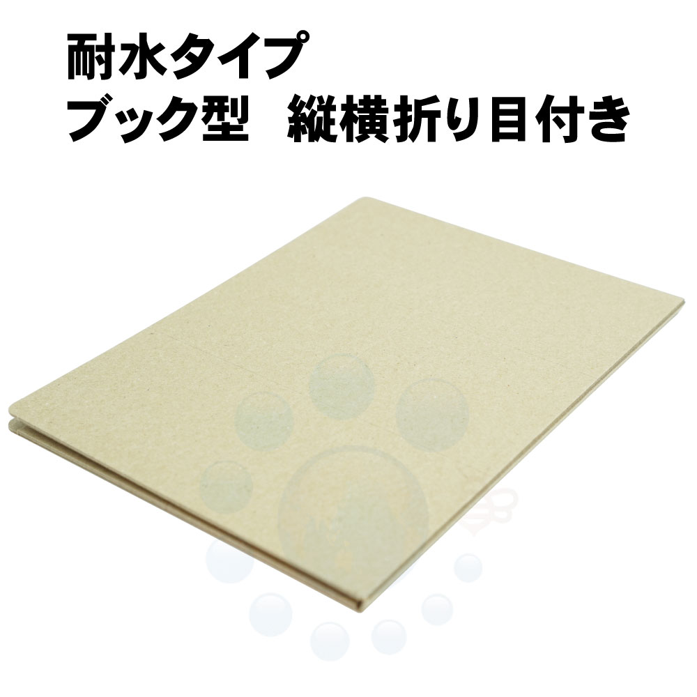 �ͥ���Ǵ���� ��̳�� �ͥ������ EL 50�� ���ϥ����� �ͤ���Ǵ�奷���� �Ͷ�� �Ȥ��� �༣