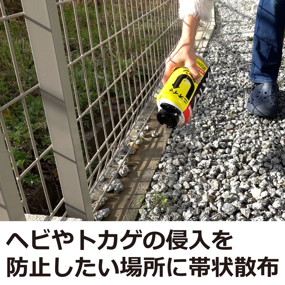 إӴ إӥ쥹 2kg إӴ ڤ ̥ס