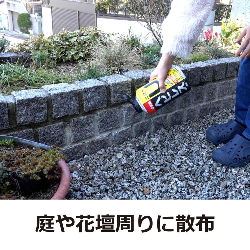 إӴ إӥ쥹 2kg إӴ ڤ ̥ס