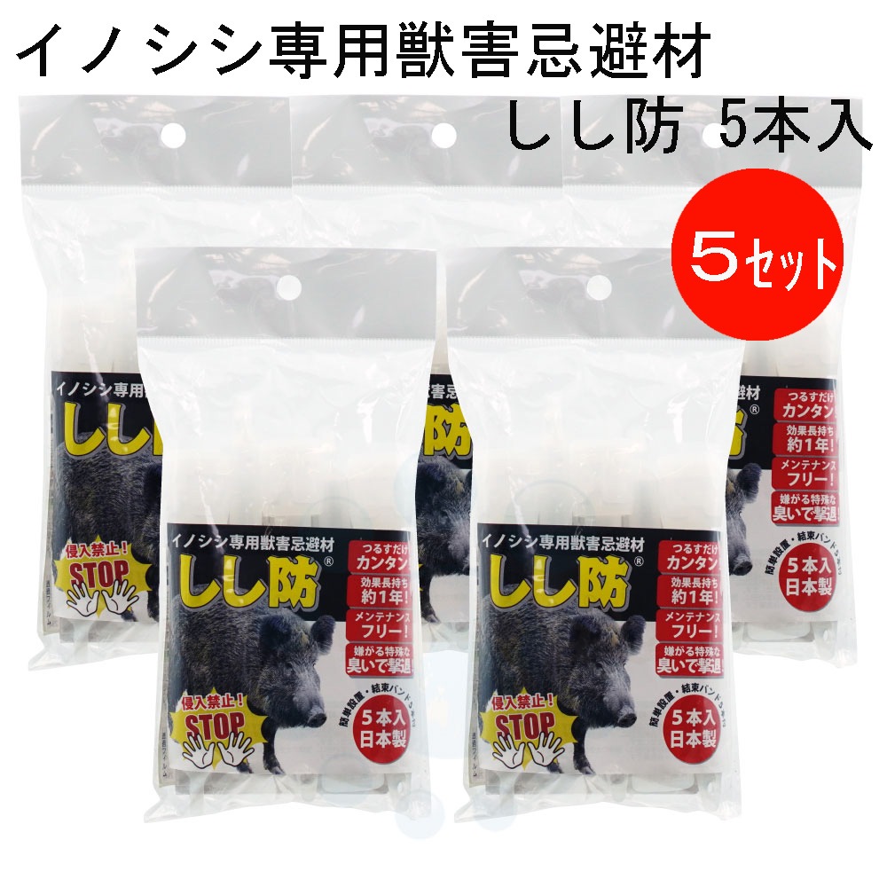 ���Υ����к� ������ 5������5���å� �� ���� ���� ���� �໶ ���� ���� ������ ���Τ��� ��