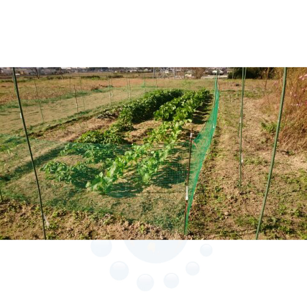 ���Υ����к� ������ 5������5���å� �� ���� ���� ���� �໶ ���� ���� ������ ���Τ��� ��