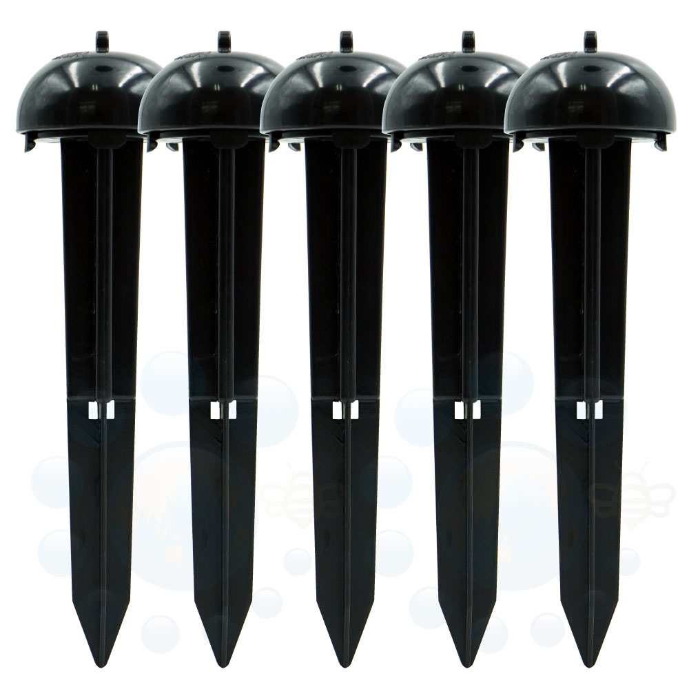 ������ѥ��ơ������5�ĥ��å� ��̳��