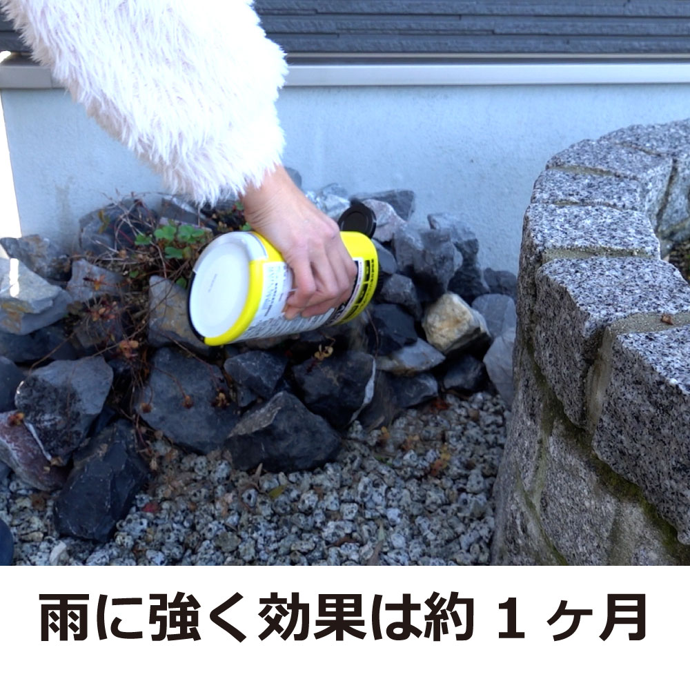 �إӴ���� �إӥ쥹 900g �إӴ����