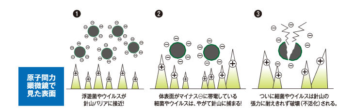 ե Хȥåѡ 400ml 컺