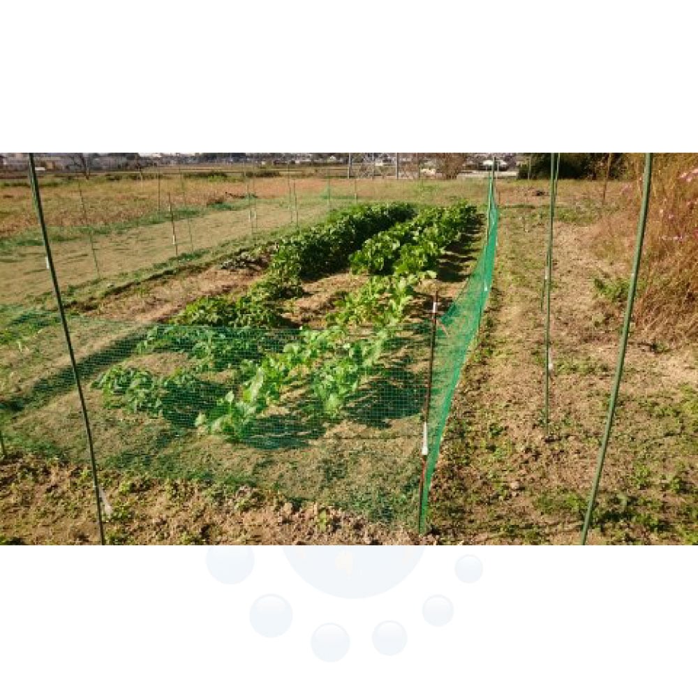 ���Υ����к� ������ 20���� �� ���� ���� ���� �໶ ���� ���� ������ ���Τ��� ��