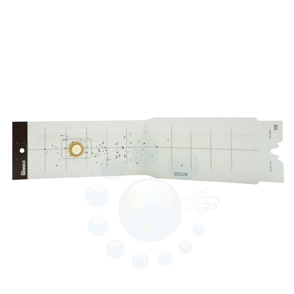 ڤХۥХХॷͶͥå ˥塼ꥳ 2ڤ椦ѥå 275ߡ ХХॷ Ͷ  ե ȥå