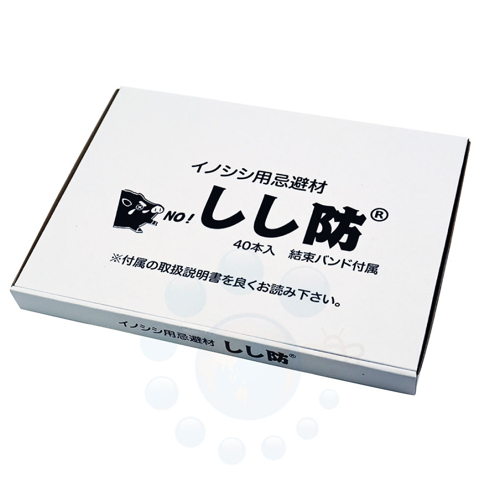 ���Υ����к� ������ 40���� �� ���� ���� ���� �໶ ���� ���� ������ ���Τ��� ��