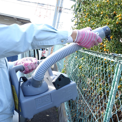 ULV ߥγб BG եå饤 2600 Ķγưߥȵ  ݺ ýʮ̸