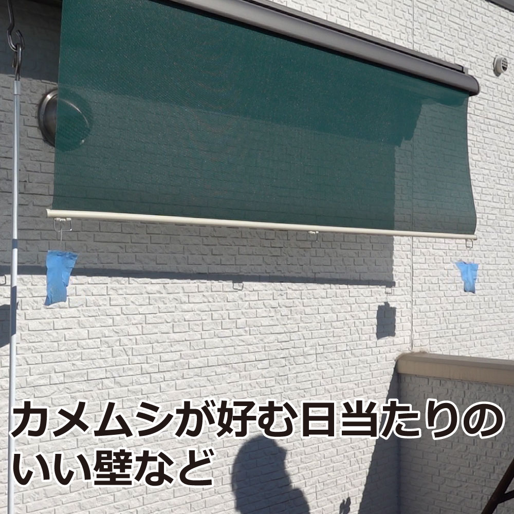 ����ॷ����� ����ॷ������[20g��12��]��3��