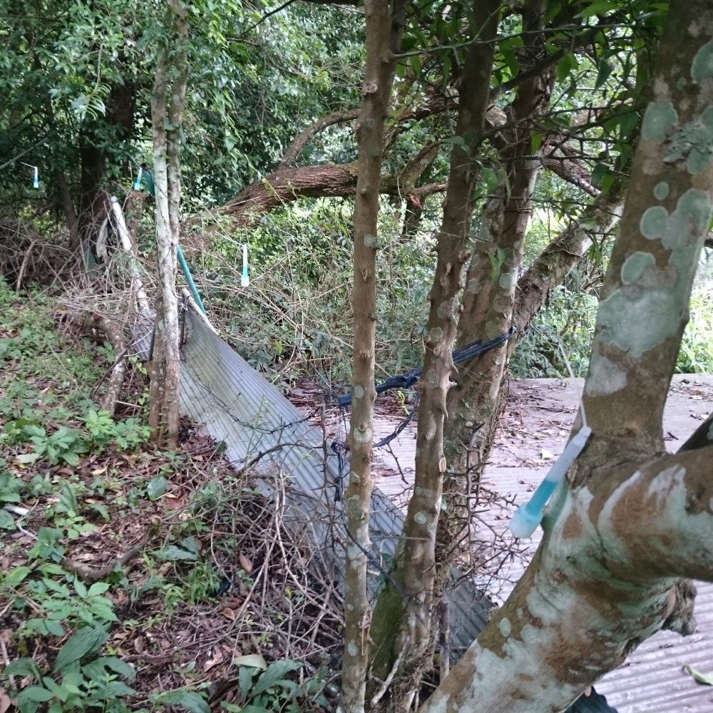 Υк  4010å     ໶    Τ 