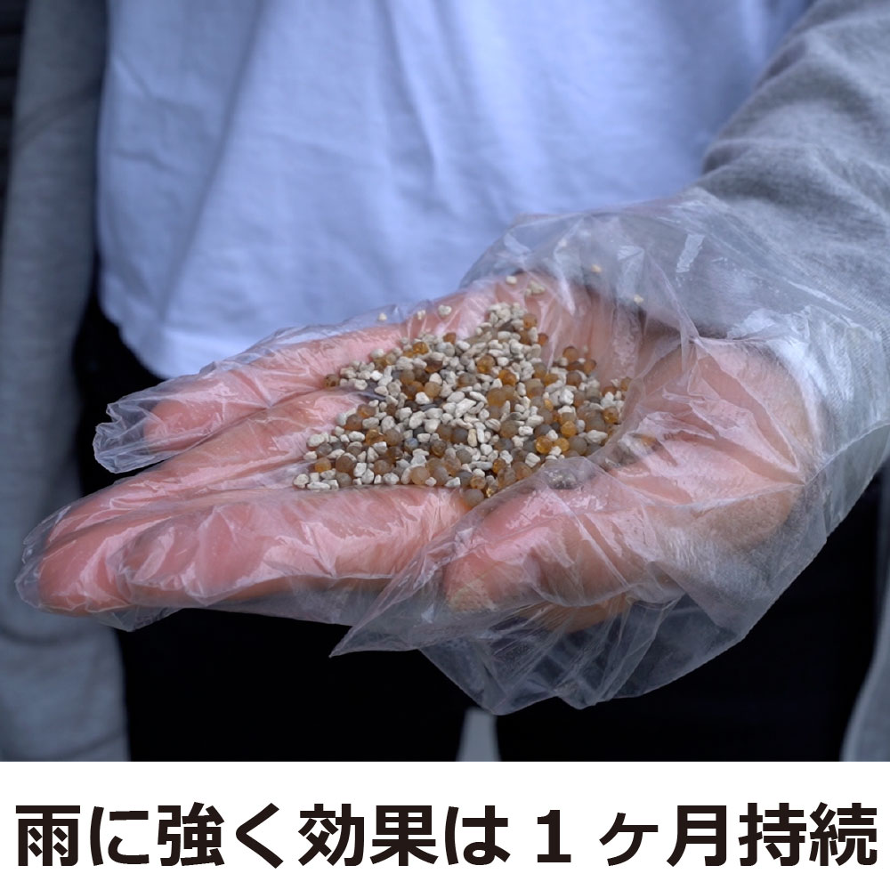 ͥӡ ץ饹ե 750g 