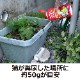 ͥӡ ץ饹ե 750g 