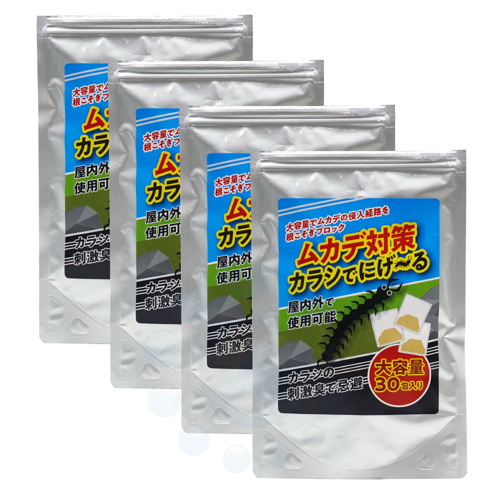 ५к 饷Ǥˤ 304  饷ʬ  